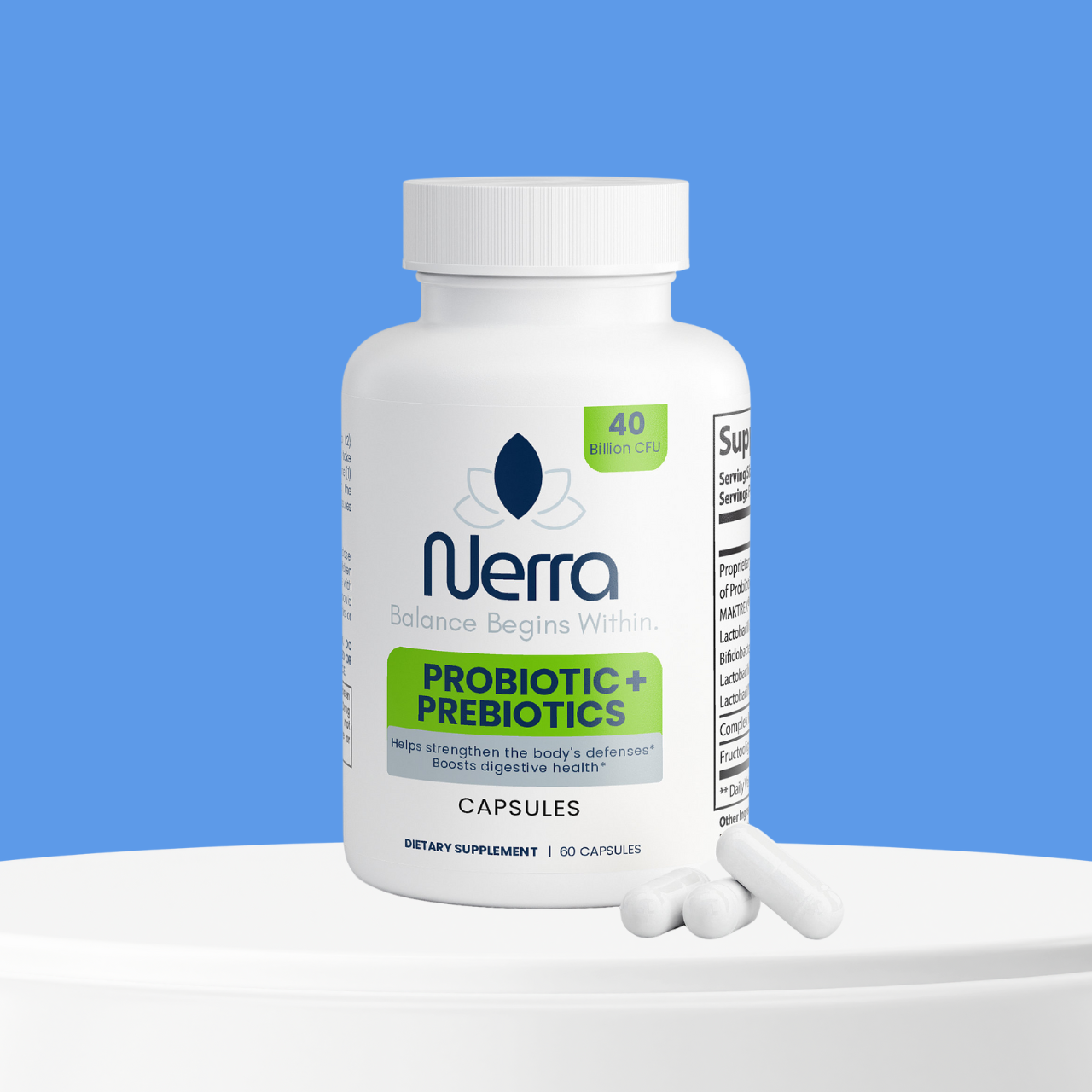 Gut Health & Digestion